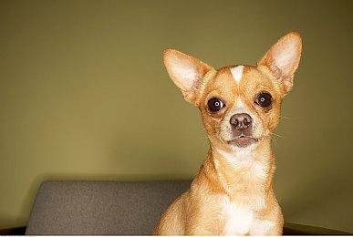 喋血街头开发团队嘲讽《星空》引擎没进步 并质疑30帧